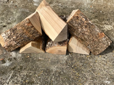 Species Ash